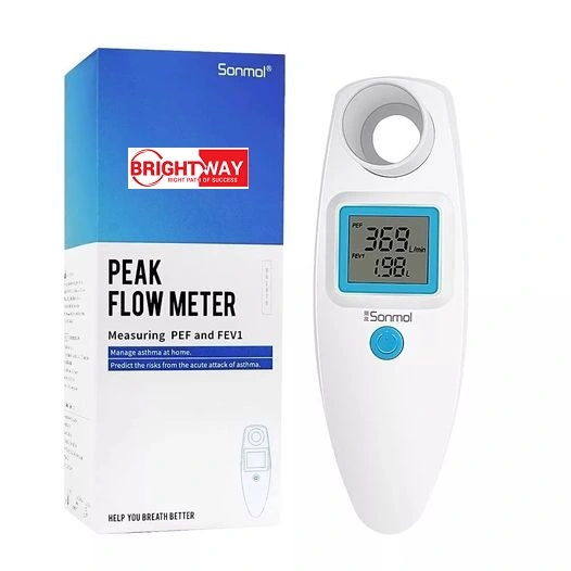 Peak Flow Meter